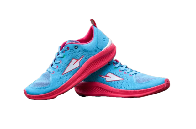 Bild von enda ITEN Men - Flamingos Blue and Deep Pink